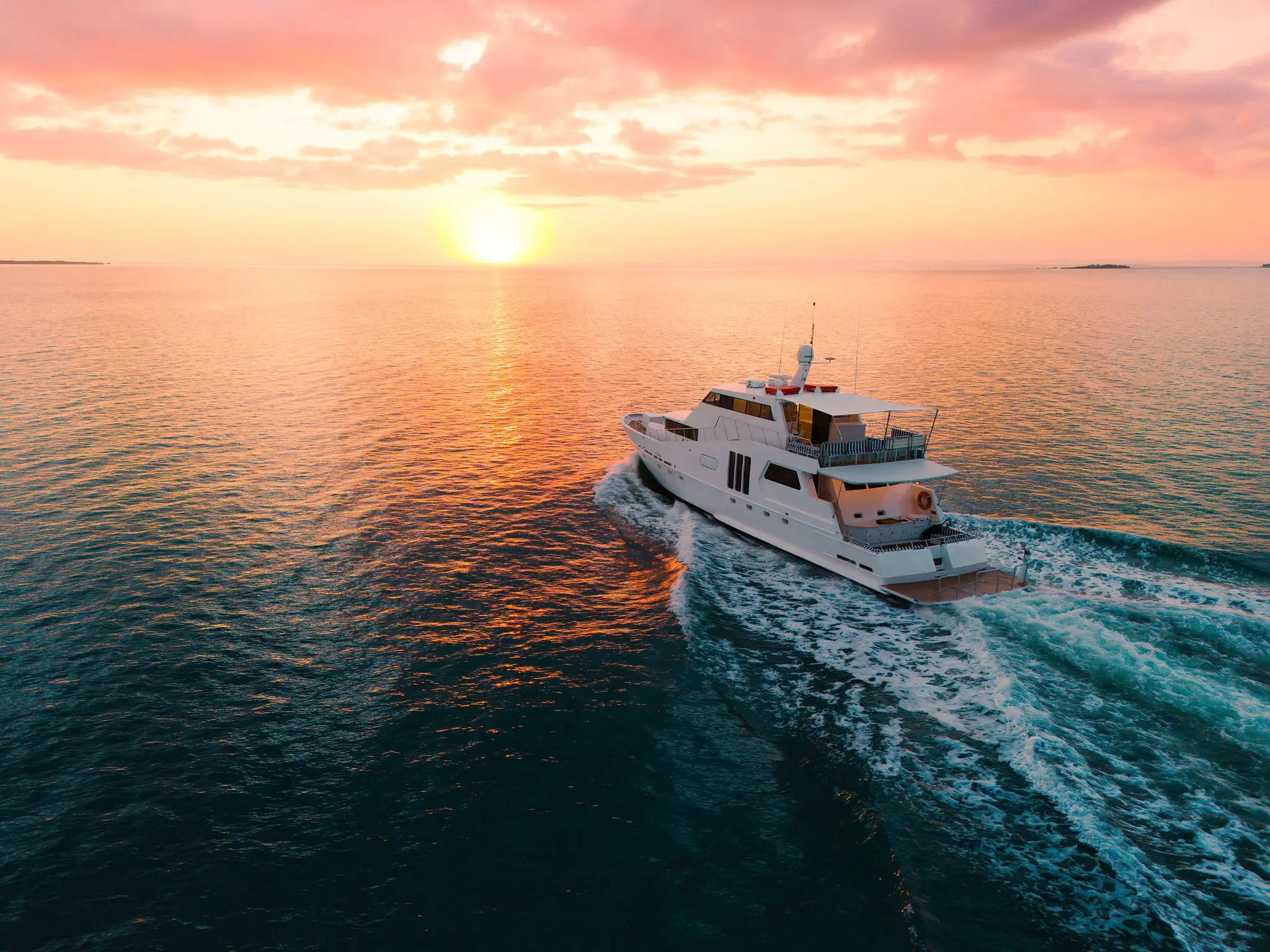 Over 1,000 cruises hosted and organised